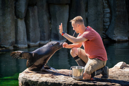 Přednáška - Den s lachtany a tučňáky