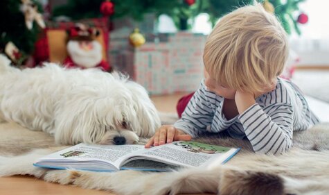 Setkání - Patnáctkové pohádky