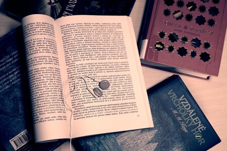 Literatura - Česká beletrie v roce 2021 - zrušeno