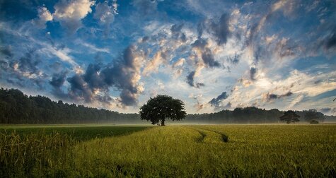 Literatura - Literárně-hudební večer na environmentální témata