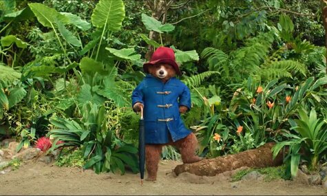 Film - Paddington v džungli