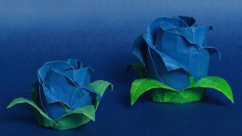 Workshop - Kawasakiho růže