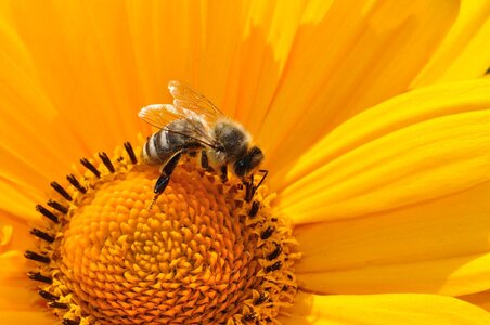 Setkání - Setkání se včelařem