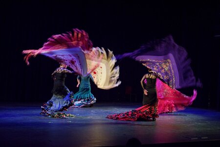 Tanec - Flamenkeando festival