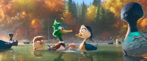 Film - Ptáci stěhováci
