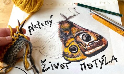 Workshop - Život motýla