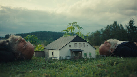 Film - Raději zešílet v divočině