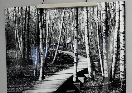 Workshop - Řemeslná dílna Kutil Junior