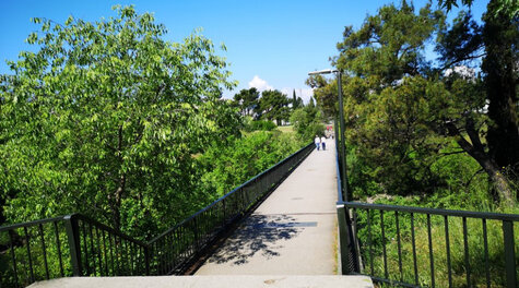 Setkání - Stromy ve městech, města ve stromech