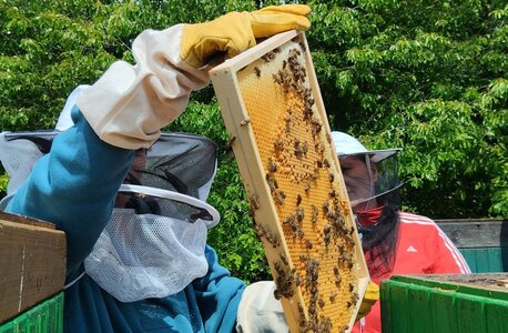 Přednáška - Včelí produkty očima včelaře