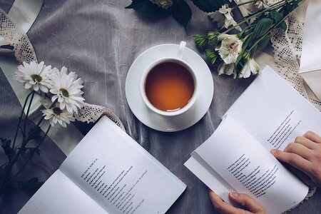 Literatura - Současná romská poezie