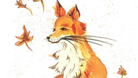 Setkání - O chytrém Budulínkovi – Dvakrát sedm pohádek