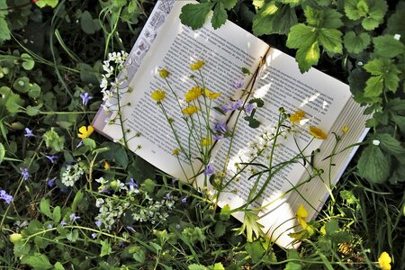 Setkání - Jarní výměna knih na Rajské zahradě