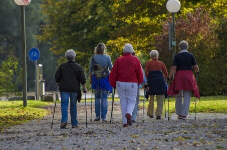 Setkání - Nordic Walking s lektorkou: Ladronka 