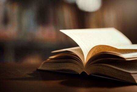 Přednáška - Česká literatura první poloviny 20. století