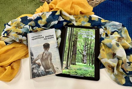 Literatura - Veronika Opatřilová - zrušeno