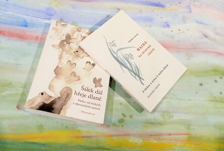 Workshop - Naučte se psát haiku
