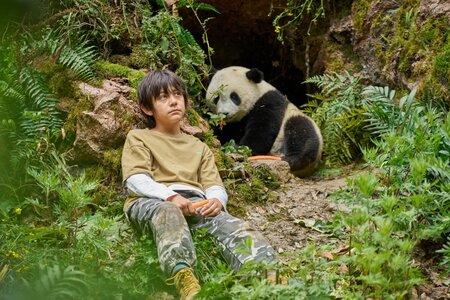 Film - Panda a já