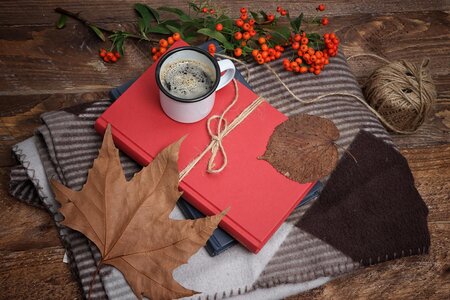 Literatura - Knihy na podzimní a zimní měsíce