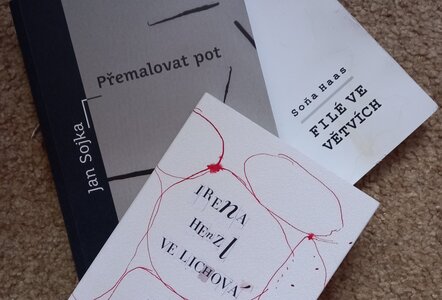 Literatura - Plzeňstí autoři v Domě čtení