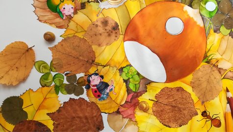 Setkání - Andrea Popprová - Kuk do oříšku