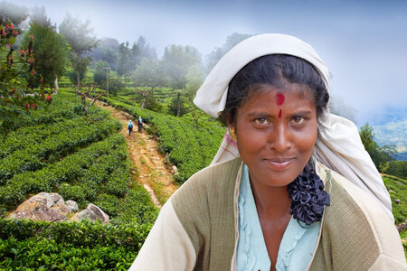 Přednáška - Martin Loew - Srí Lanka