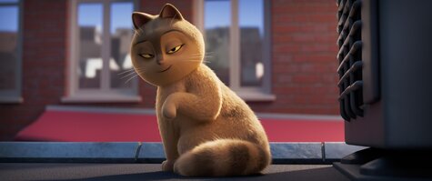 Film - Slečna Moxy