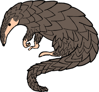 Přednáška - Povídání o luskounech