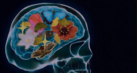 Přednáška - Jak působí umělecká díla na lidský mozek
