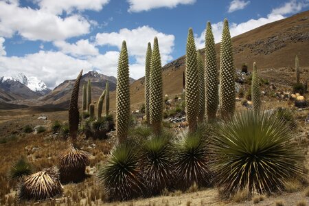 Setkání - Peru – život a příroda