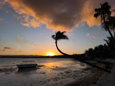 Přednáška - Modrozelený Mauricius