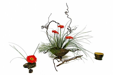 Přednáška - Kenzan a aranžování květinových ikeban