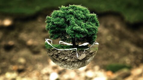 Přednáška - Udržitelnost: potíže s Greenwashingem