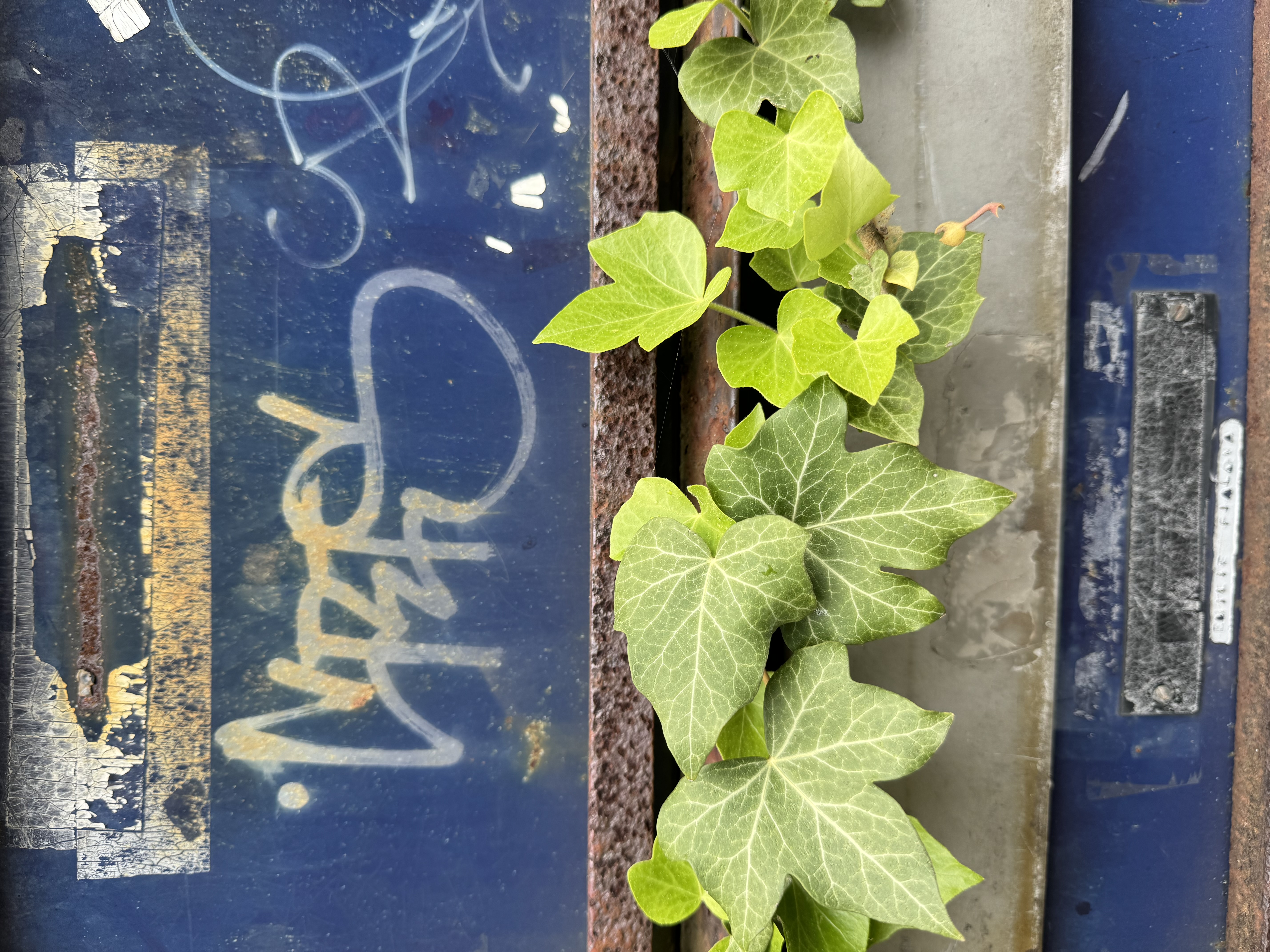 Knižní piknik v oboře Hvězda