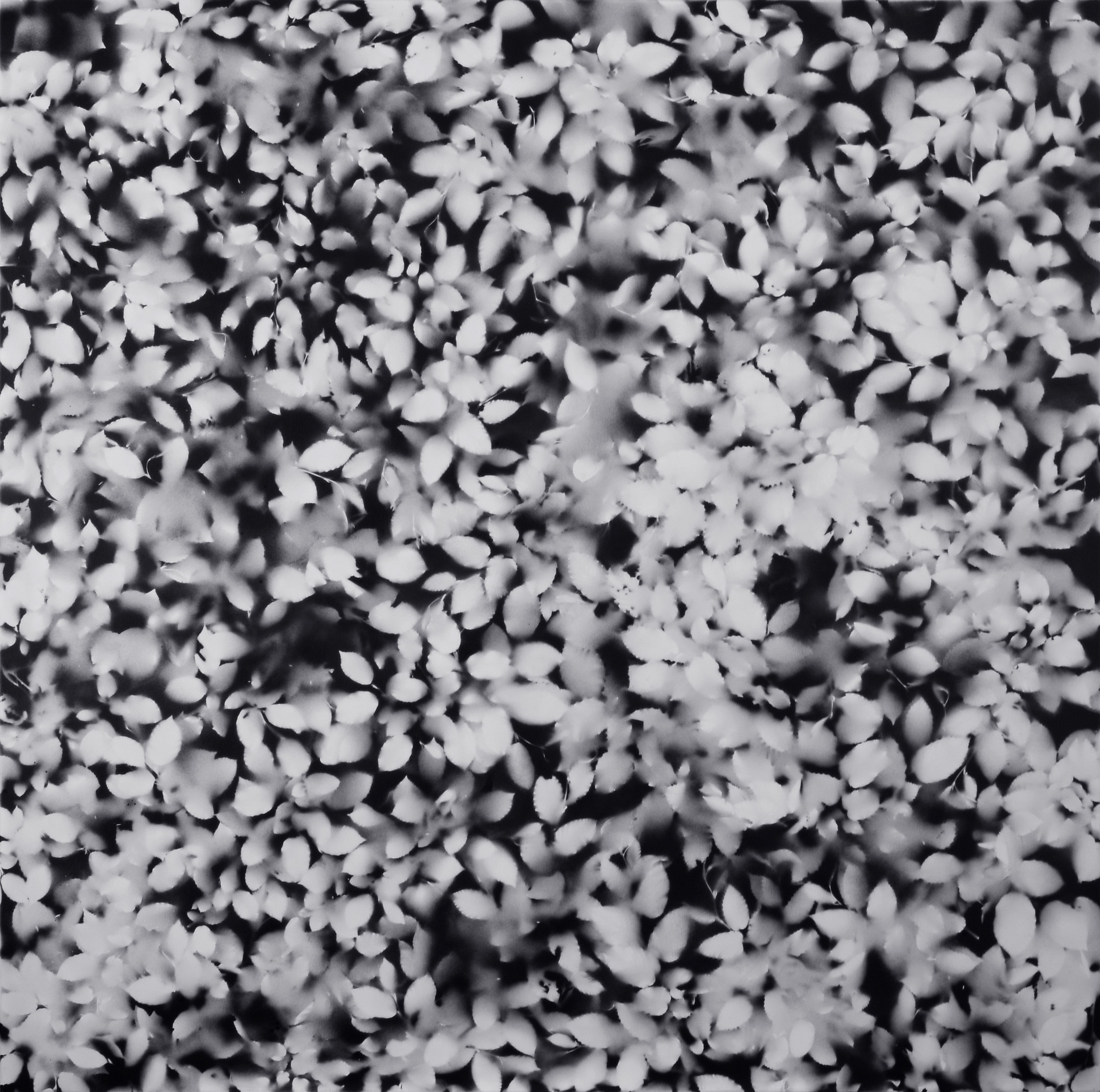 Pavel Hayek: Záznamy – parafráze 