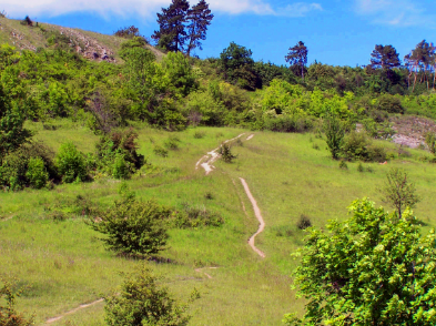 Radši spolu venku než sami doma