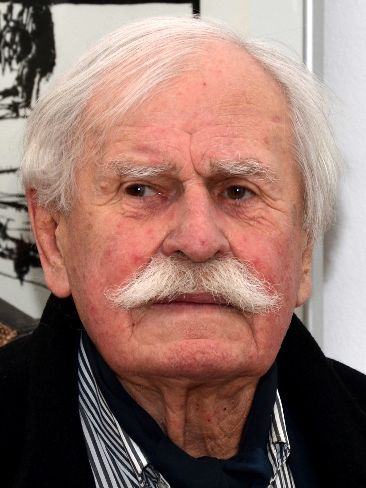 Rozhovor prof. Františka Dvořáka s Adolfem Bornem