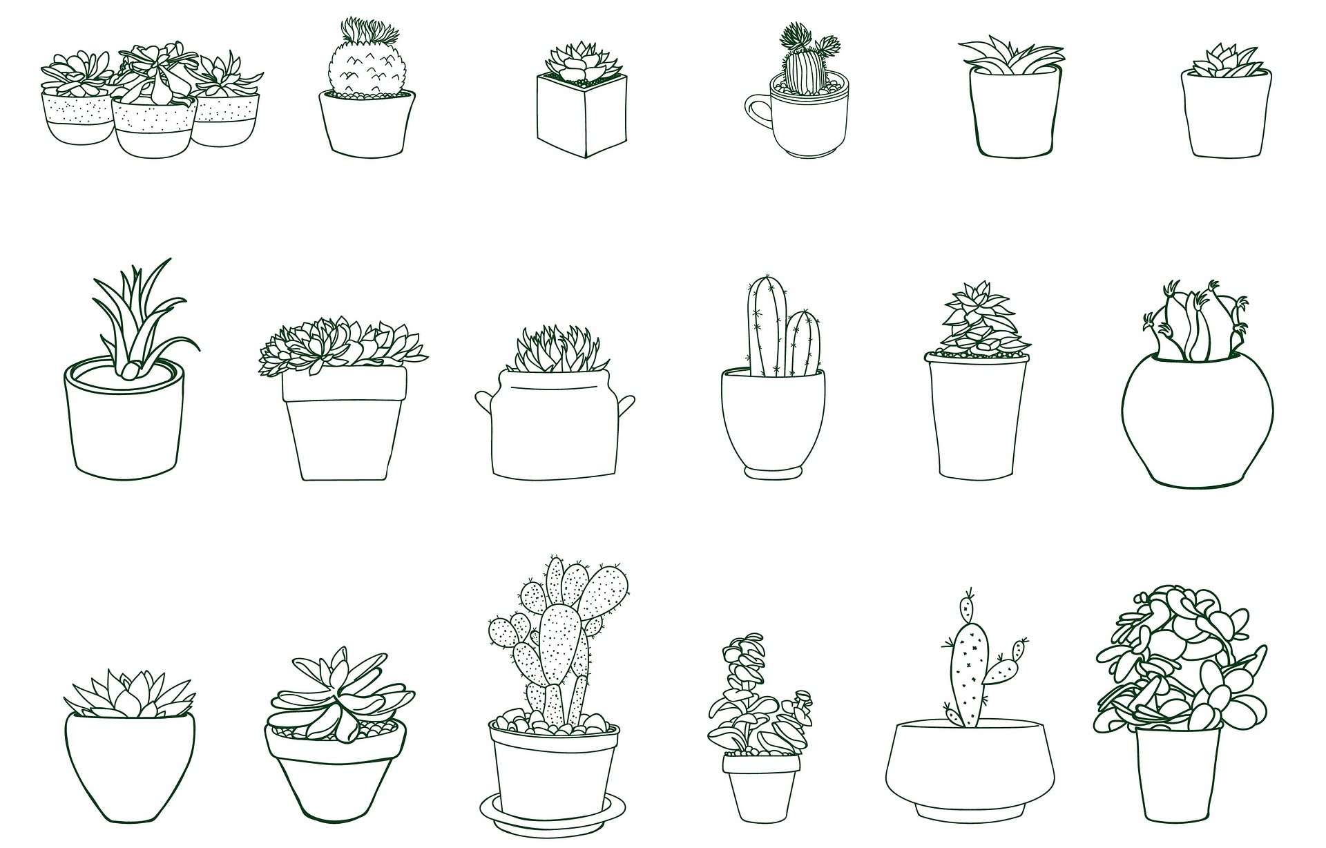 Swap rostlin na Lužinách