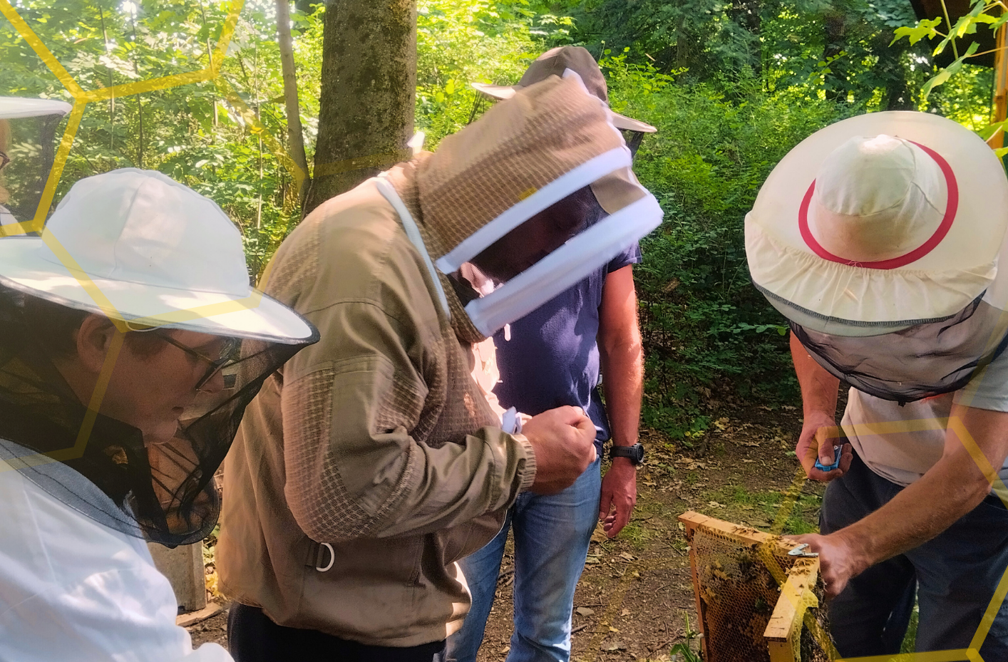 Včelaření od A–Z