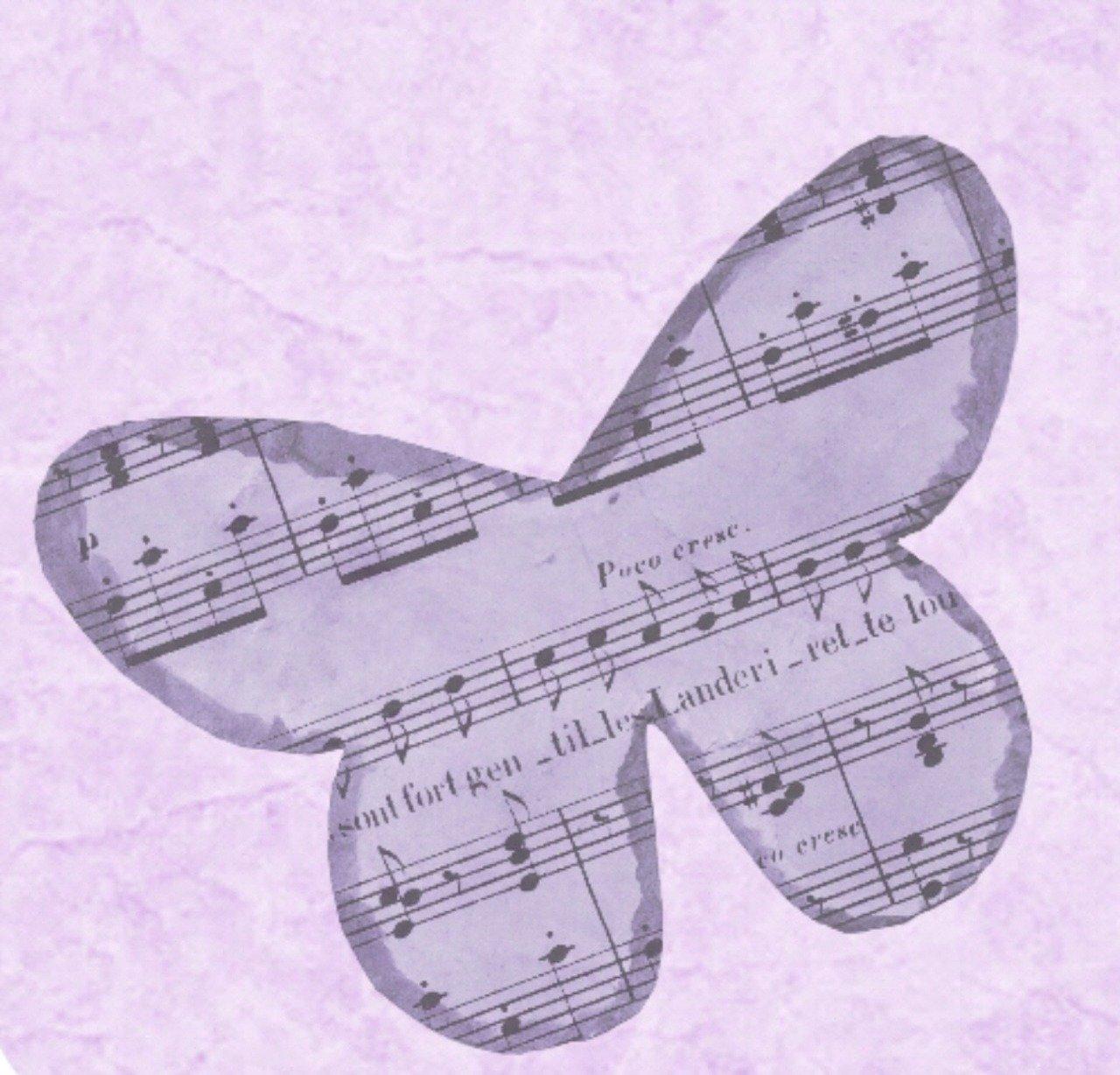 Motýli
