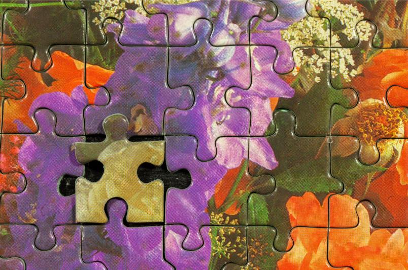 Swap puzzlí a deskových her