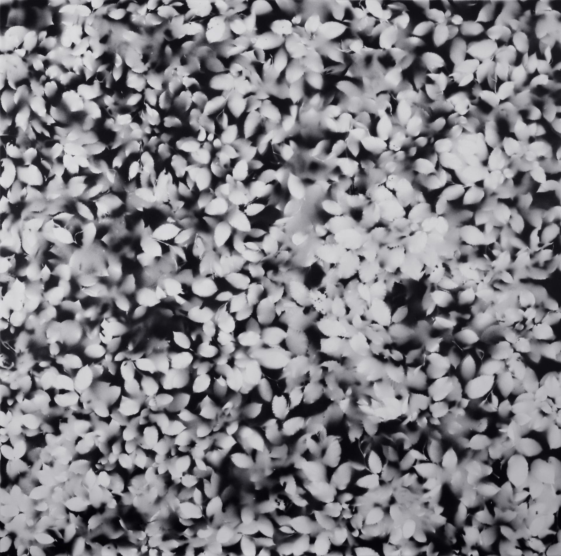 Pavel Hayek: Záznamy – parafráze 