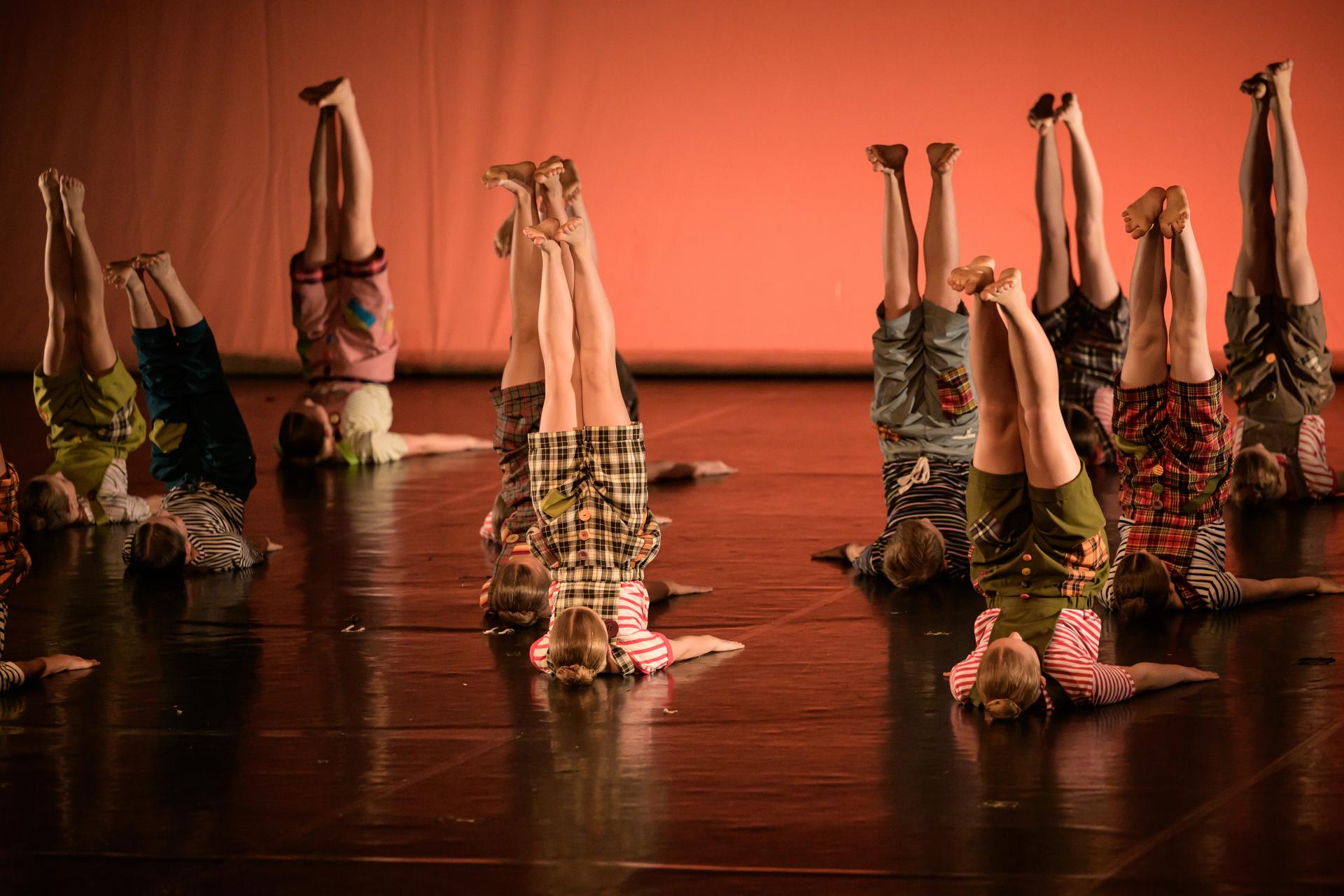 Taneční učitelé roku 2026