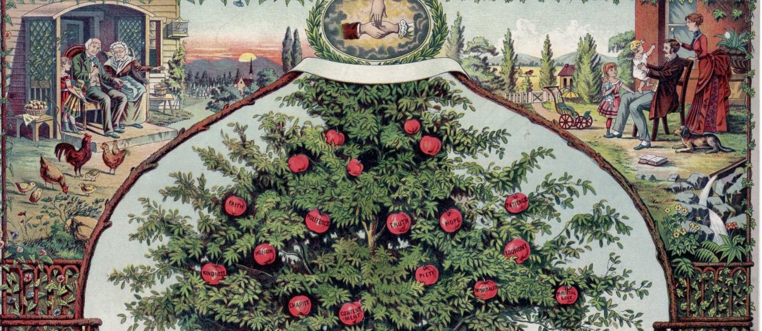 Základy genealogie – aneb Jak si vytvořit rodokmen