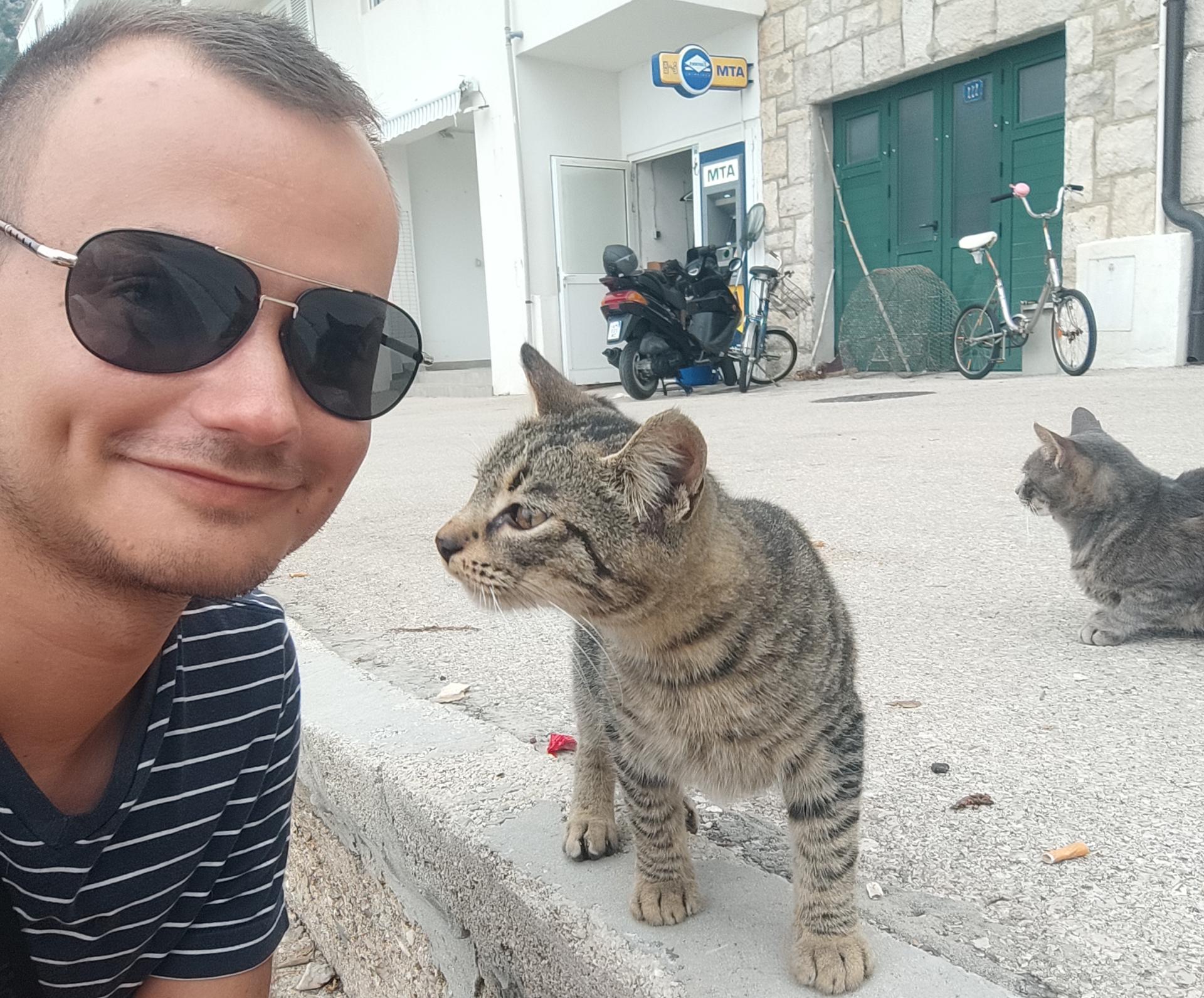 Pomoc nezná hranic aneb Záchrana koček v Chorvatsku