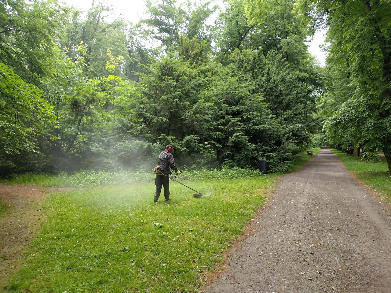 Tajemná obora Hvězda 3: historie a budoucnost lesa 