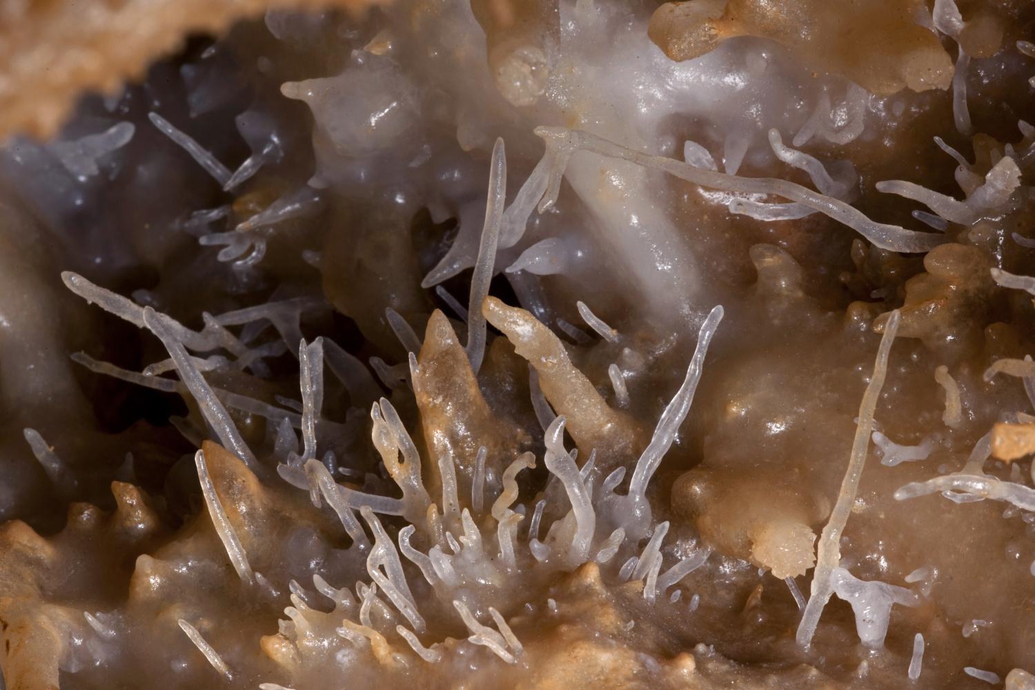 Tajemný svět jeskyní ČR