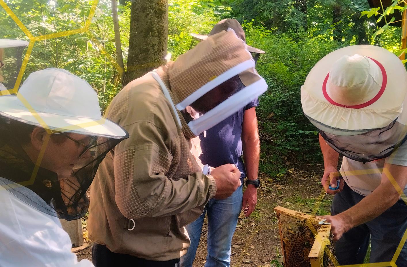 Včelaření od A–Z