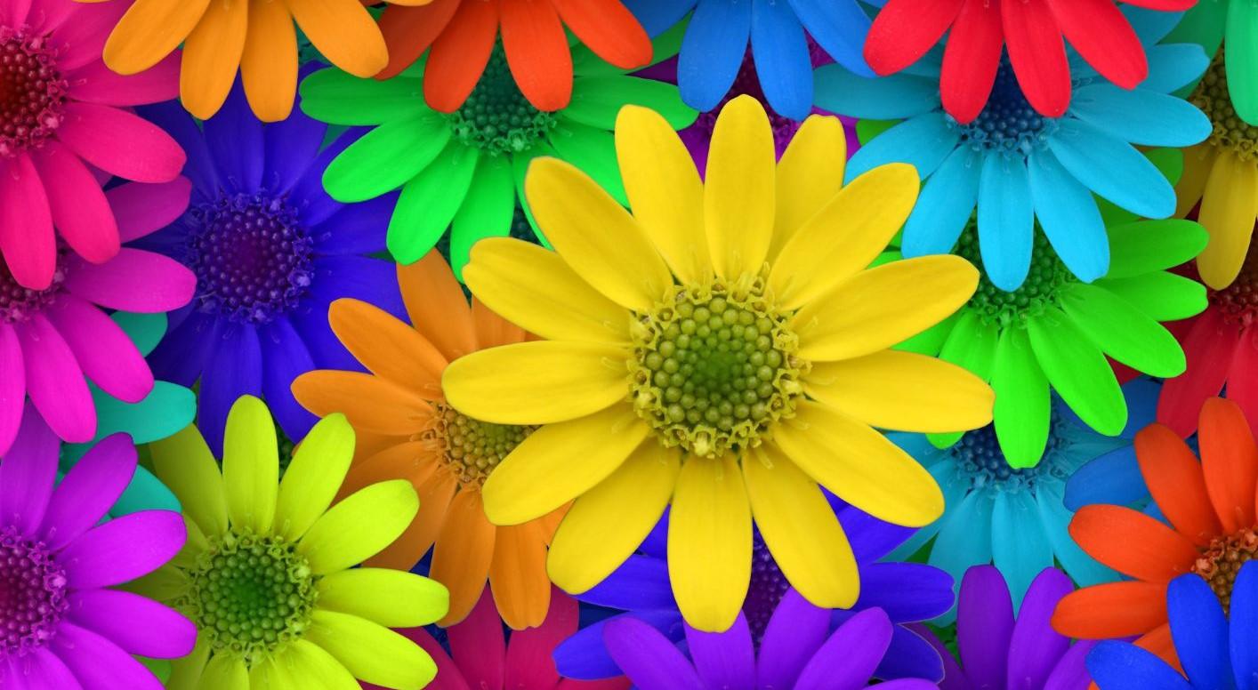 Výtvarná dílna: květen 2026