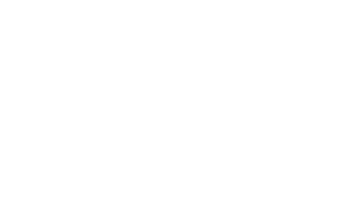 cnaip_CZ_RGB_bile.png